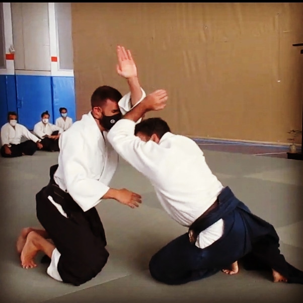 Aikido Murcia Musubi Güejar Sierra 